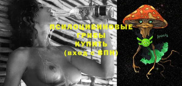 спиды Краснослободск
