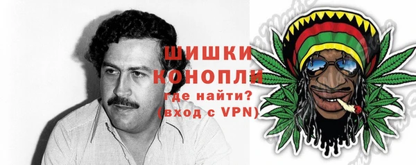 спиды Краснослободск
