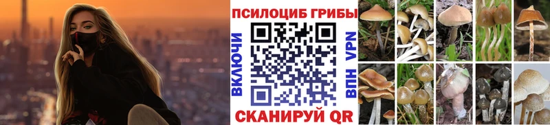 Купить закладки Красавино Псилоцибиновые грибы мицелий