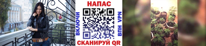 Купить где  Красавино  Бошки Шишки тримм 